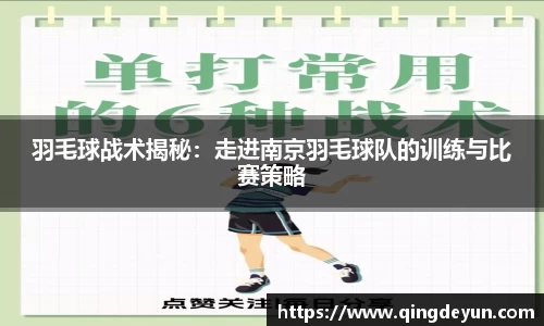 羽毛球战术揭秘：走进南京羽毛球队的训练与比赛策略