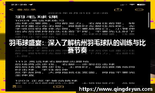 羽毛球盛宴：深入了解杭州羽毛球队的训练与比赛节奏
